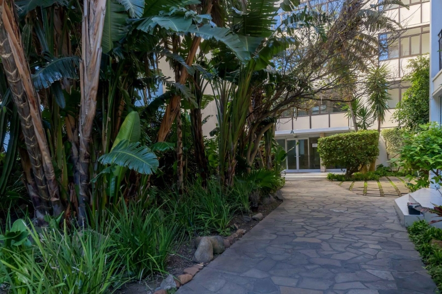 To Let 2 Bedroom Property for Rent in Sea Point Western Cape